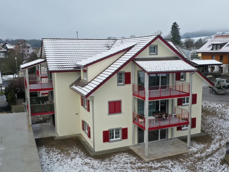renovation_selzach2