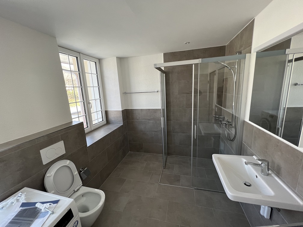 renovation_selzach4