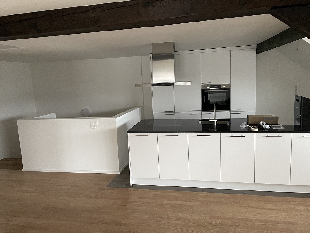 renovation_selzach5